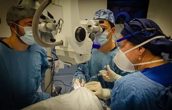 Trastorno de la refracción: defectos visuales más comunes y su tratamiento